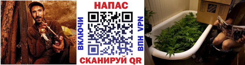 Каннабис SATIVA & INDICA  купить   Называевск 